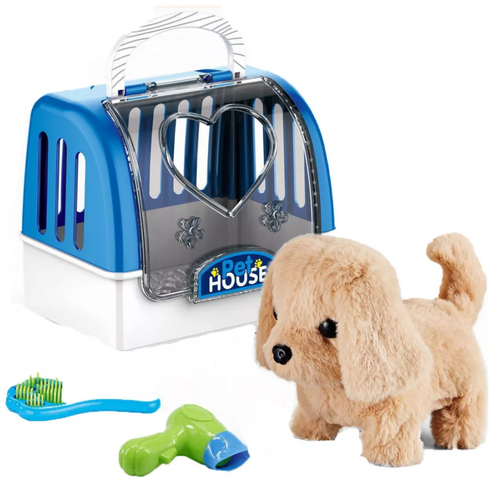 Kit Pet World