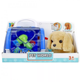 Kit Pet World